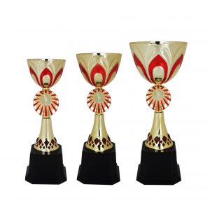 Acrylic Trophies AC4003 – Acrylic Bowl Trophy