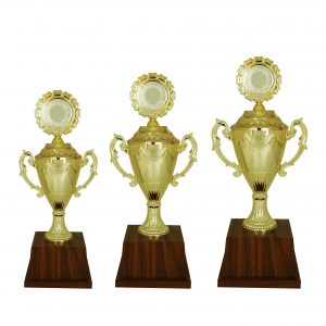 Acrylic Trophies AC4007 – Acrylic Trophy