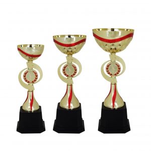 Acrylic Trophies AC4009 – Acrylic Bowl Trophy