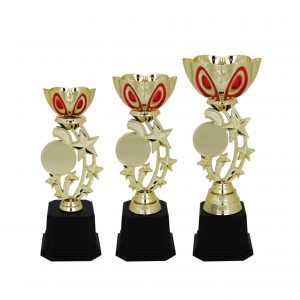 Acrylic Trophies AC4024 – Acrylic Bowl & Star Trophy