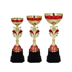 Acrylic Trophies AC4036 – Acrylic Bowl Trophy