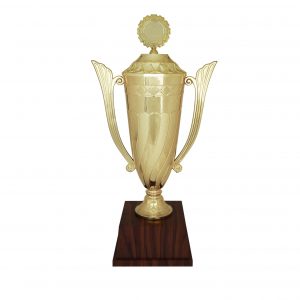 Acrylic Trophies AC4089 – Acrylic Trophy