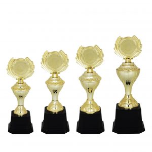 Acrylic Trophies AC4096 – Acrylic Trophy