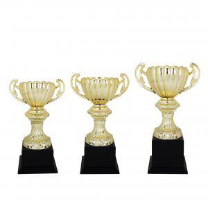 Acrylic Trophies AC4124 – Acrylic Trophy