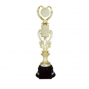 Acrylic Trophies AC4127 – Acrylic Love & Star Trophy