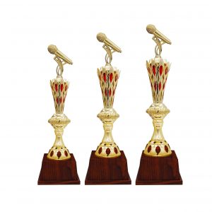 Acrylic Trophies AC4195 – Acrylic Microphone Trophy