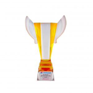 Crystal Trophies CR8185 – Exclusive Crystal Glass Awards