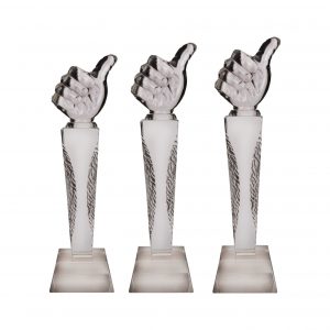 Crystal Trophies CR8231 – Exclusive Crystal Glass Awards (Thumb)