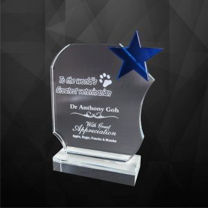 Crystal Plaques CR9129 – Exclusive Crystal Star Award