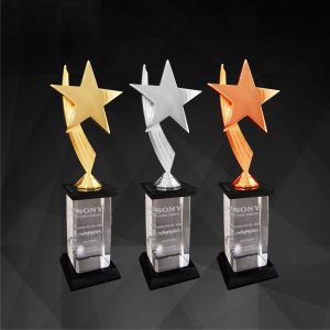 Plastic Trophies CR9146 – Exclusive Star Awards (Gold, Silver, Bronze)
