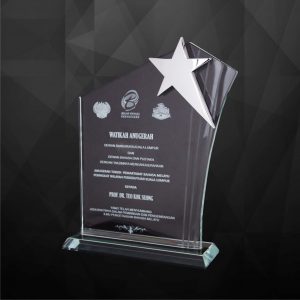 Crystal Plaques CR9167 – Exclusive Crystal Star Plaques