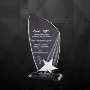 Crystal Plaques CR9168 – Exclusive Crystal Star Plaques