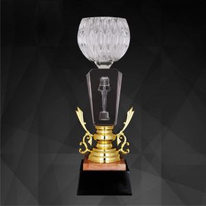 Crystal Trophies CR9192 – Exclusive Crystal Bowl Awards
