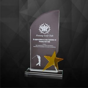 Crystal Plaques CR9227 – Exclusive Crystal Star Plaques