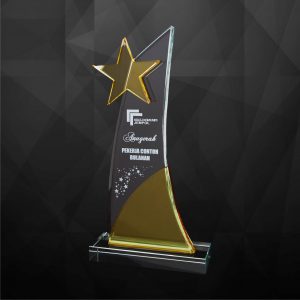 Crystal Plaques CR9228 – Exclusive Crystal Star Plaques