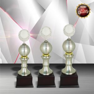 Silver Trophies EXWS6002 – Exclusive White Silver Trophy