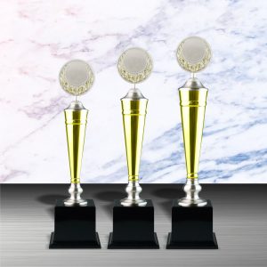 Silver Trophies EXWS6040 – Exclusive White Silver Trophy