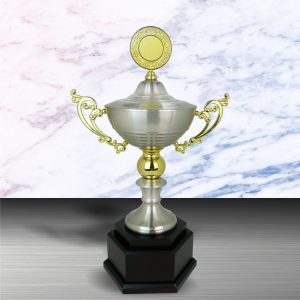 Silver Trophies EXWS6075 – Exclusive White Silver Trophy