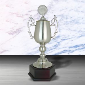 Silver Trophies EXWS6082 – Exclusive White Silver Trophy