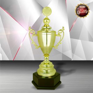 Silver Trophies EXWS6090 – Exclusive White Silver Trophy