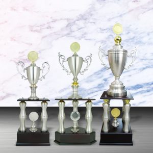 Silver Trophies EXWS6093 – Exclusive White Silver Trophy