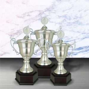 Silver Trophies EXWS6096 – Exclusive White Silver Trophy