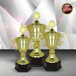 Silver Trophies EXWS6098 – Exclusive White Silver Trophy