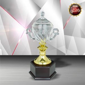 Silver Trophies EXWS6101 – Exclusive White Silver Trophy With Crystal