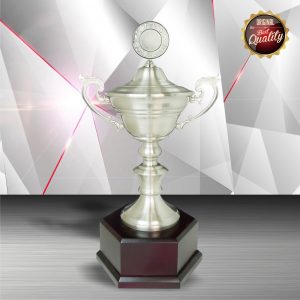 Silver Trophies EXWS6105 – Exclusive White Silver Trophy