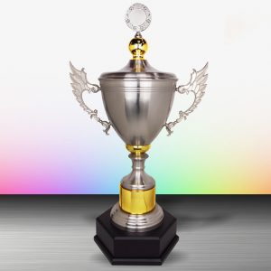 Silver Trophies EXWS6117 – Exclusive White Silver Trophy