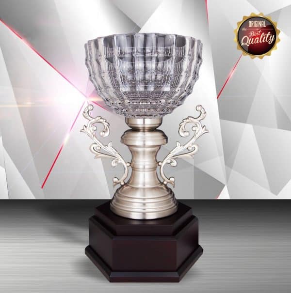 Silver Trophies EXWS6126 – Exclusive White Silver Trophy With Crystal Bowl
