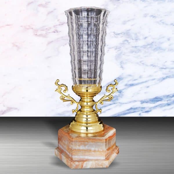 Silver Trophies EXWS6127 – Exclusive White Silver Trophy With Crystal Vase