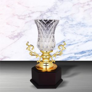 Silver Trophies EXWS6147 – Exclusive White Silver Trophy With Crystal Vase