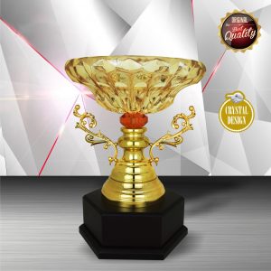 Silver Trophies EXWS6157 – Exclusive White Silver Trophy With Crystal Bowl