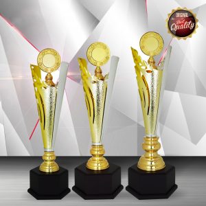 Silver Trophies EXWS6163 – Exclusive White Silver Trophy