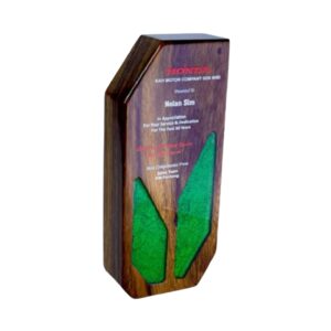 Trophies Wooden Trophy WT7683