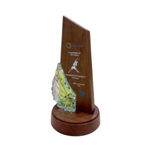 Trophies Wooden Trophy WT7705