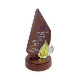 Trophies Wooden Trophy WT7708