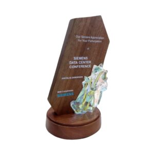 Trophies Wooden Trophy WT7709