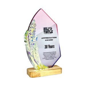 Acrylic Plaques Acrylic Plaque SP5270