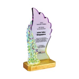 Acrylic Plaques Acrylic Plaque SP5271