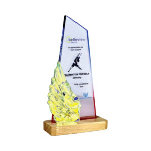 Plaques Acrylic Plaque SP5273