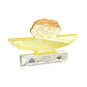 Acrylic Plaques Acrylic Plaque SP5278