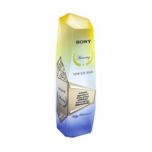 Modern Trophies Modern Trophy MT1051