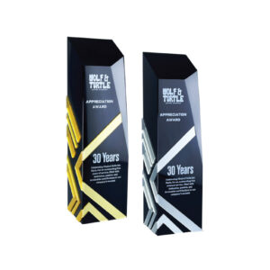 Modern Trophies Modern Trophy MT1099